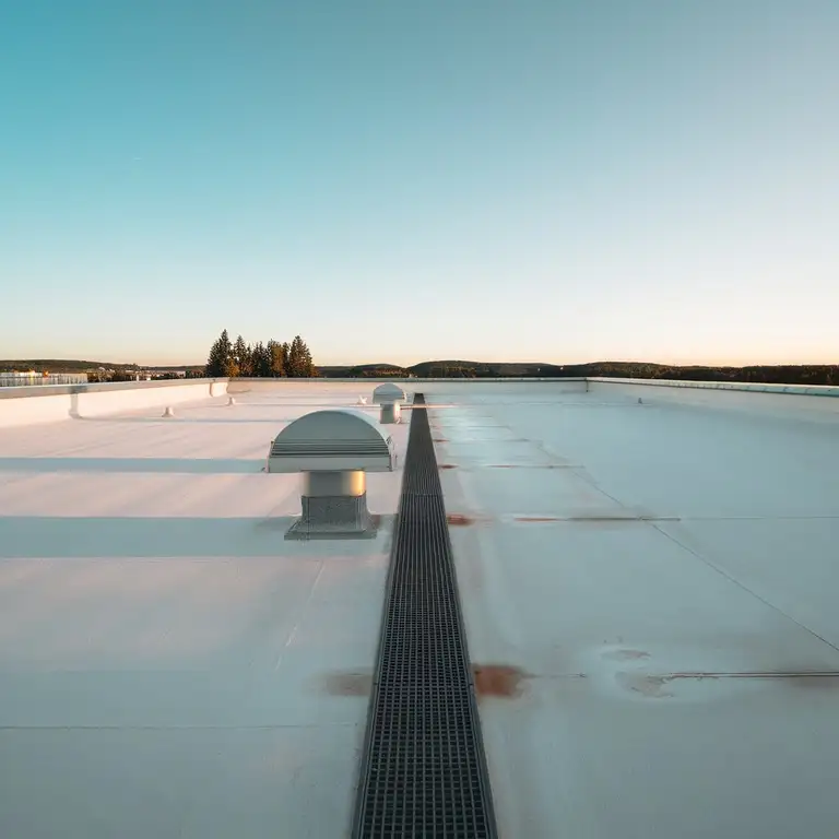 roof - top view