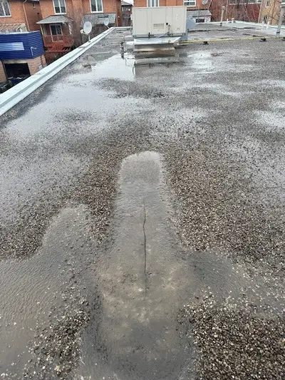 flat roof project
